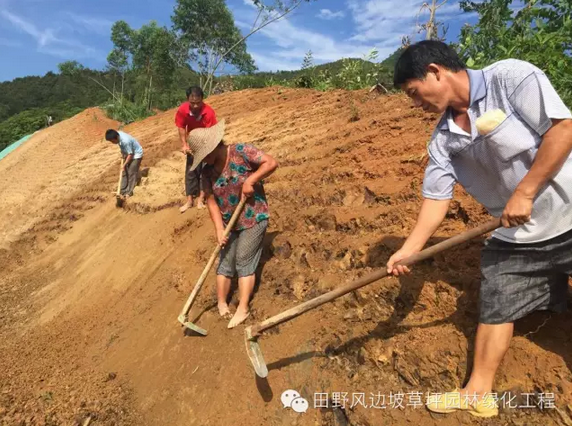 港澳免费资科大全