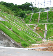 港澳免费资科大全