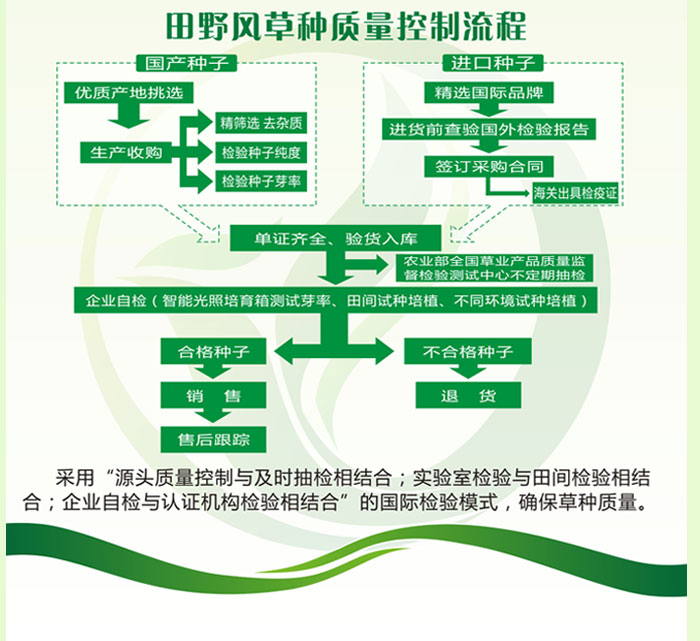 多年黑麦草坦克(白标)
