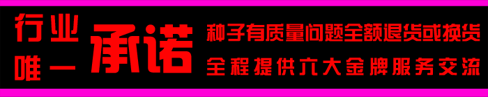 港澳免费资科大全