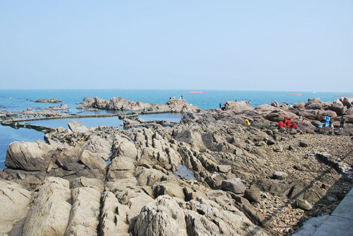 旅遊觀光_魯海豐海洋牧場